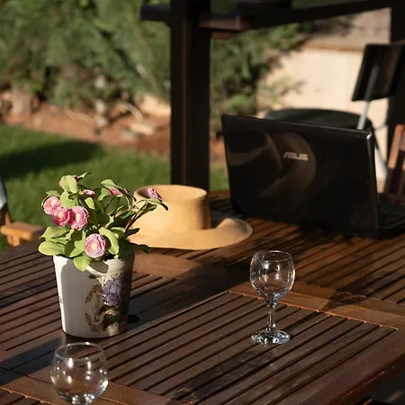 Olea Serenity Villa *