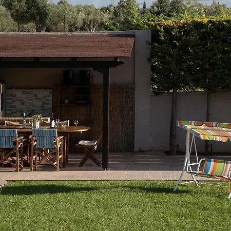 Olea Serenity